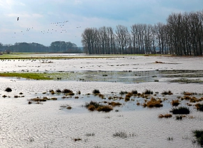 Überschwemmung der Schwingewiesen bei Stade am14. Januar.&nbsp;&copy;&nbsp;Landkreis Stade / Christian Schmidt