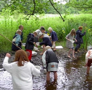Kinder keschern im Wasser&nbsp;&copy;&nbsp;Landkreis Stade